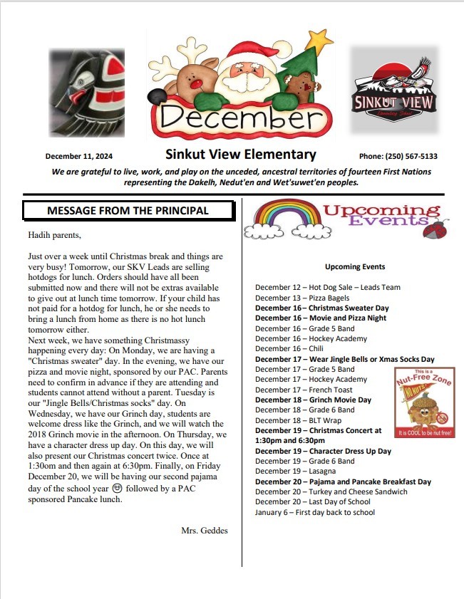 Screenshot 2024 12 11 133654